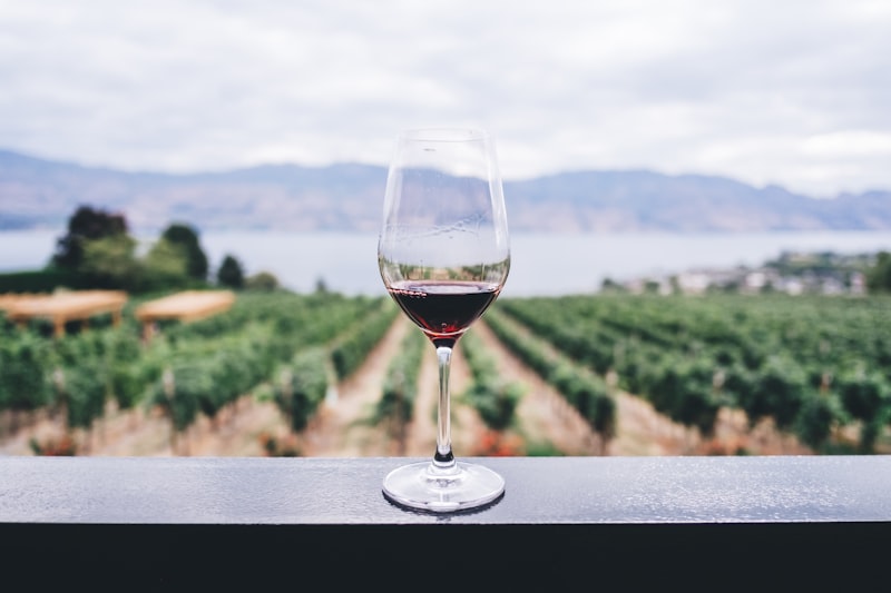 Vignes Chasselas Vaud